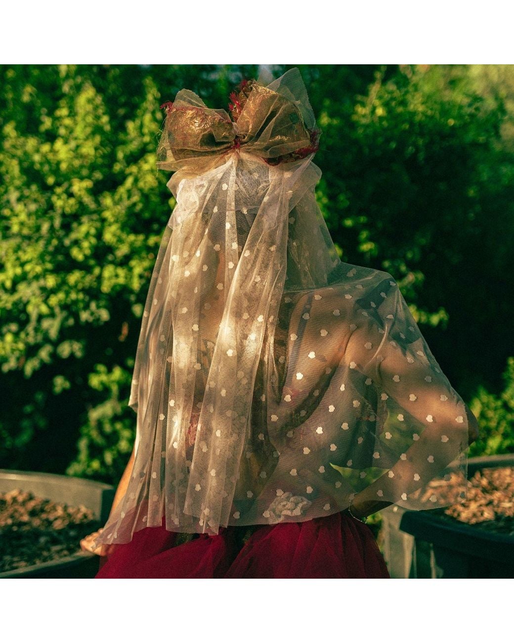 Miro Misljen Brown Couture Bow Veil Headpiece