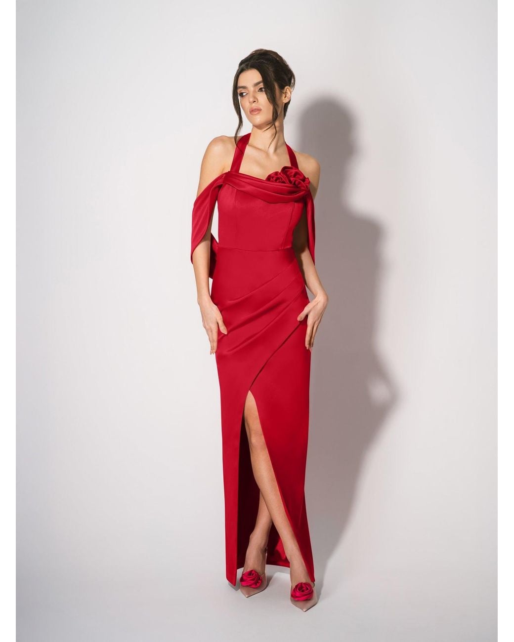 Tia Dorraine Red Rose Garden Maxi Dress – Fierce