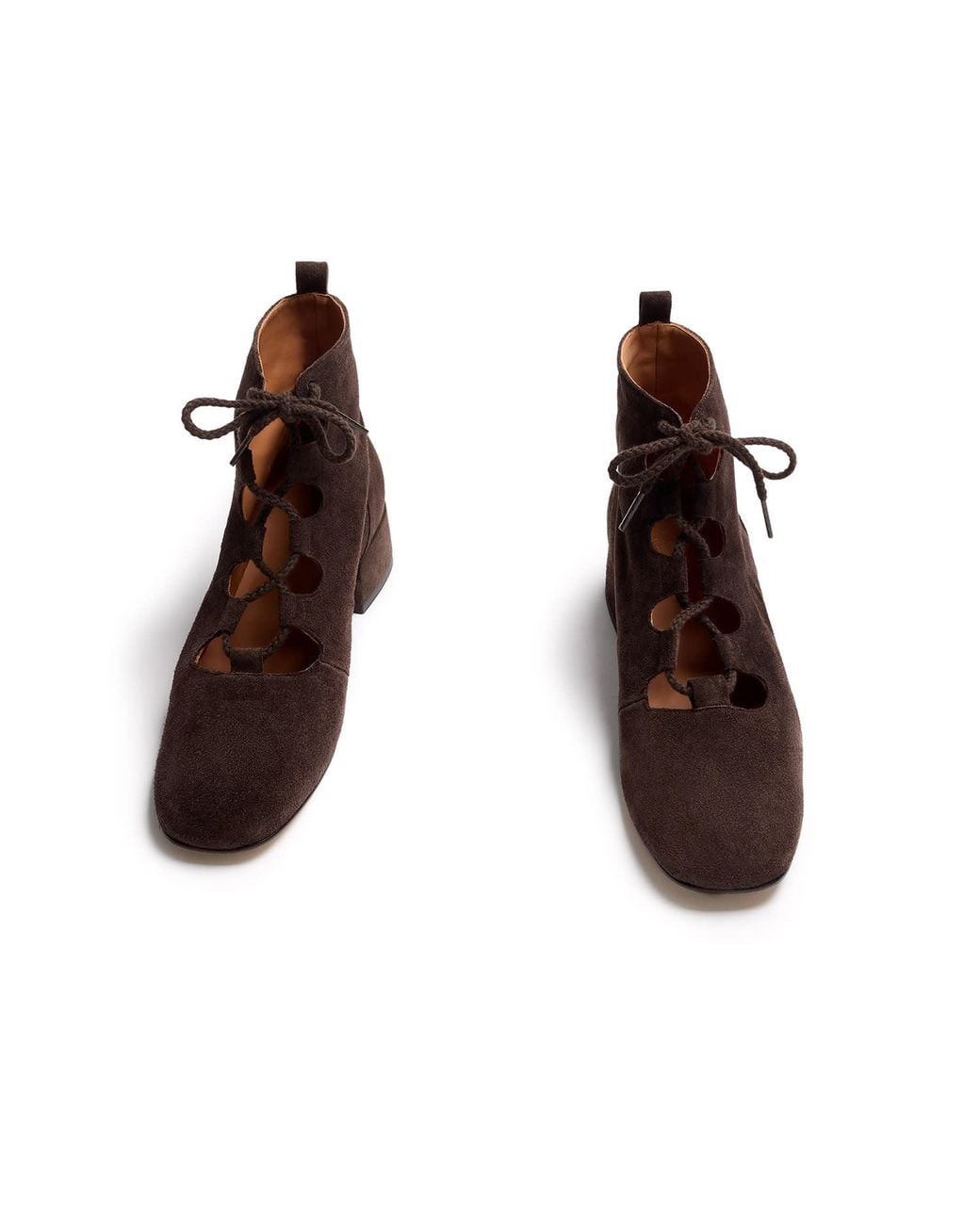 Naguisa Brown Elur Dark