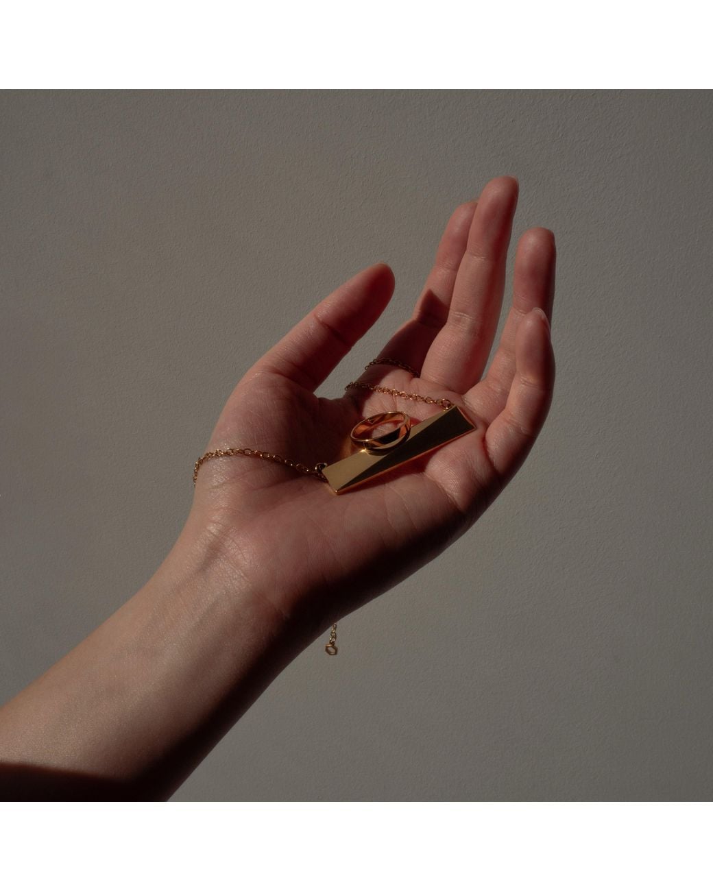 Cier Metallic Large Flex Necklace