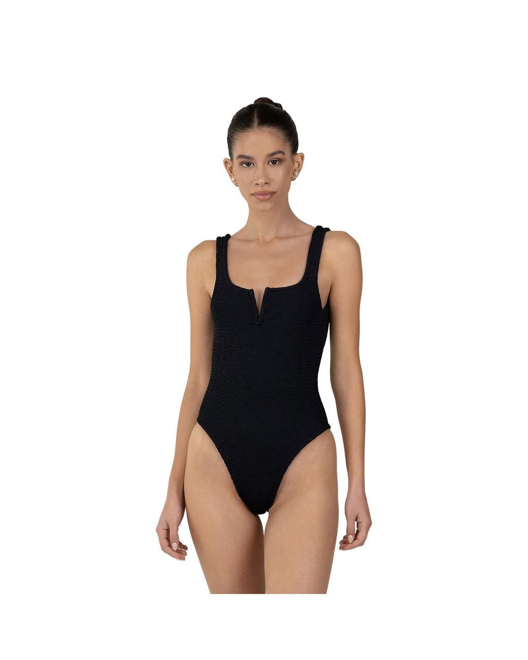 Paramidonna Black Holly