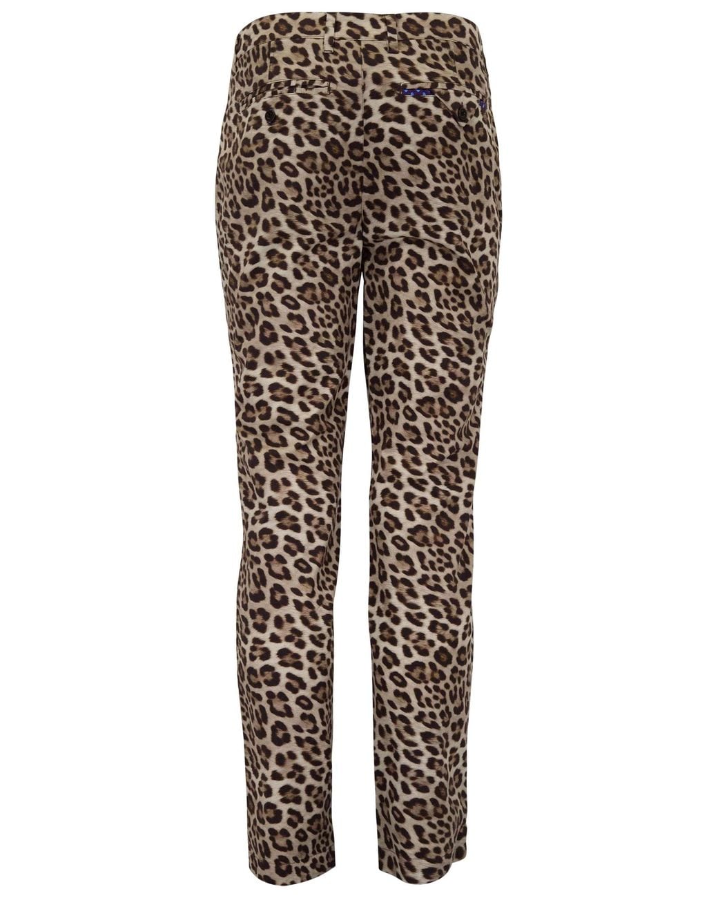 Lords of Harlech Brown Charles Leopard Tailored Pant for men