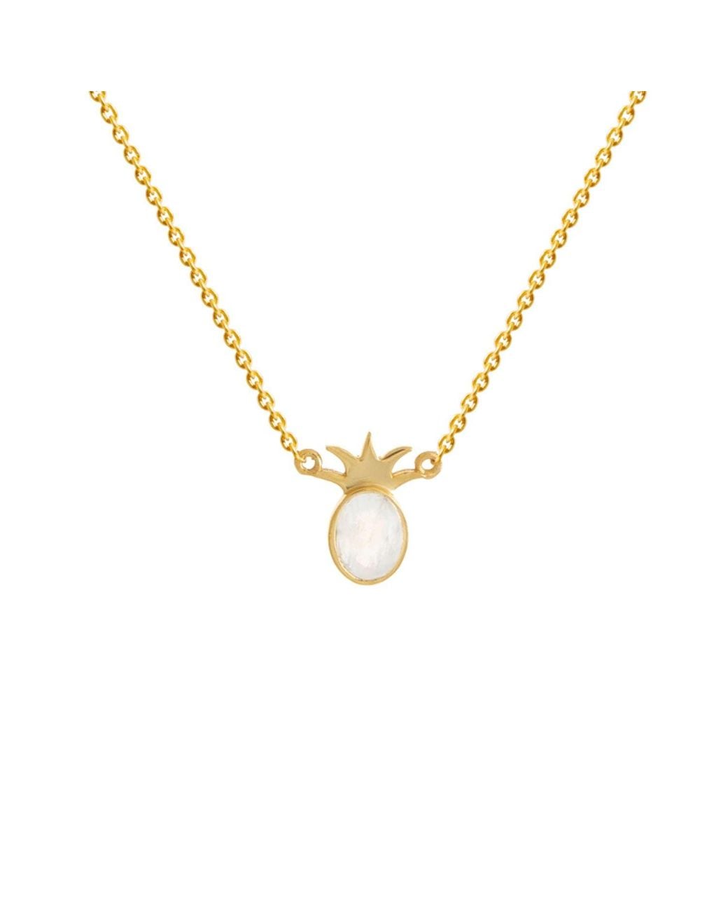 Lavani Jewels Multicolor Samana Necklace