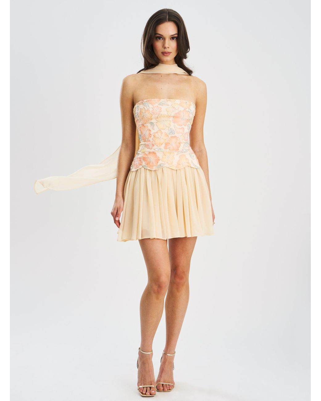 Miss Circle New York Natural Quanisha Beaded Floral Mini Chiffon Dress With Scarf