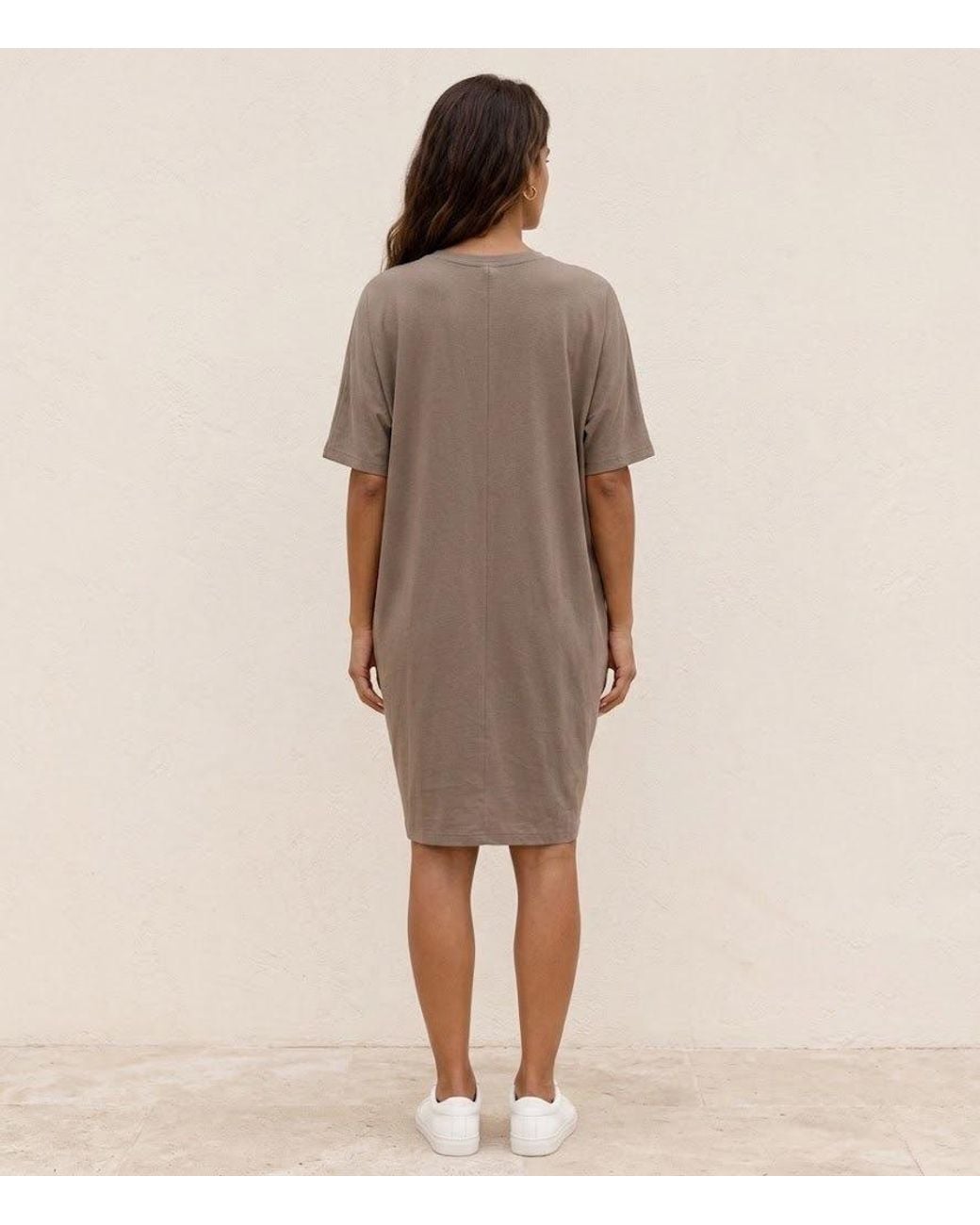 Conquista Brown Architectural Seam Jersey Dress With Pockets