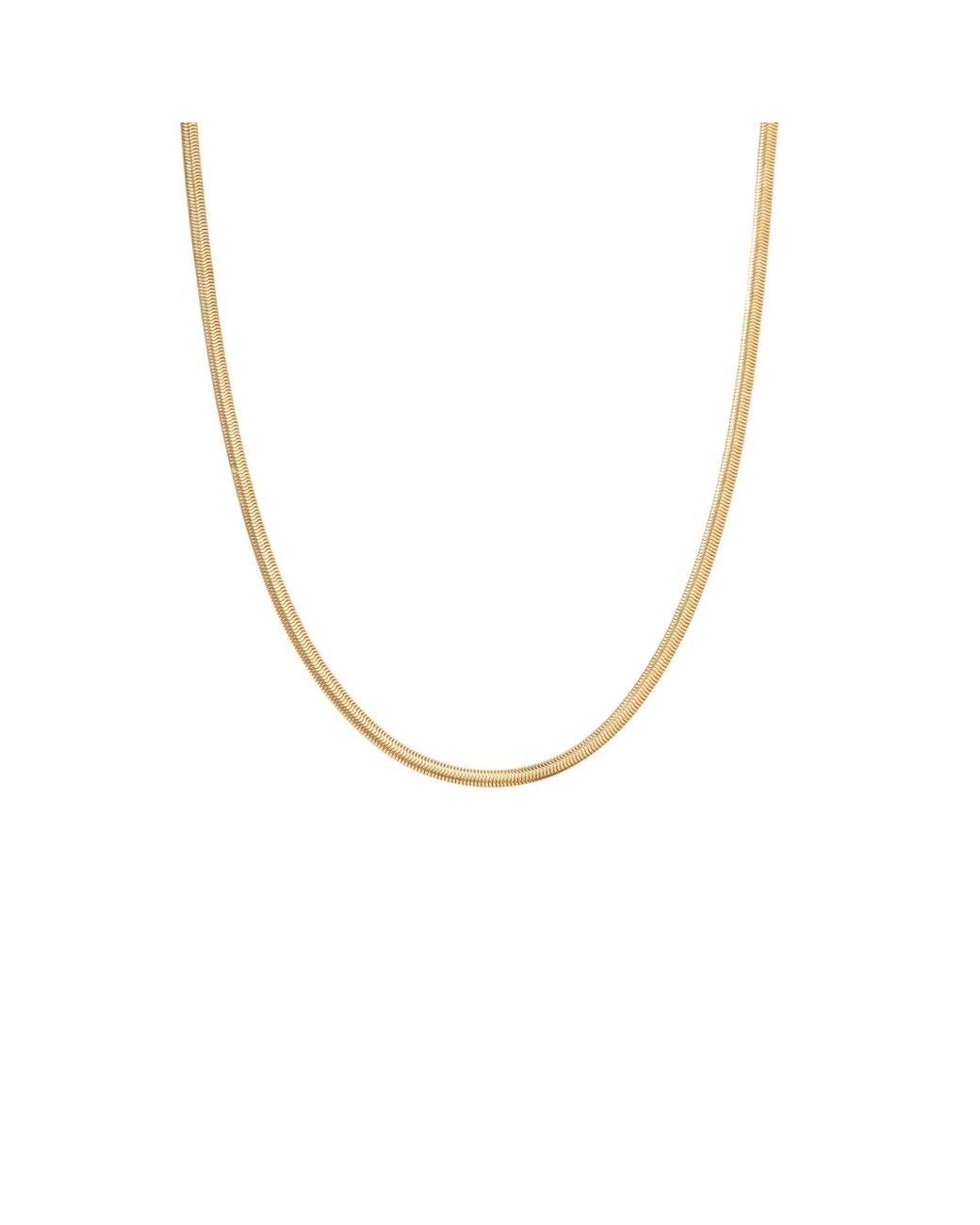 Vanhi Metallic Estelle Herringbone Chain Necklace