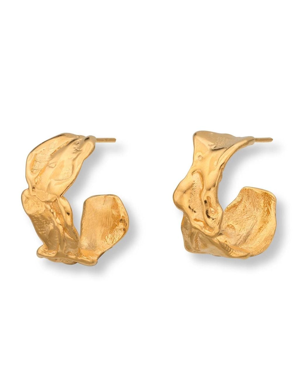 EVA REMENYI Metallic Vacation Hoop Earrings