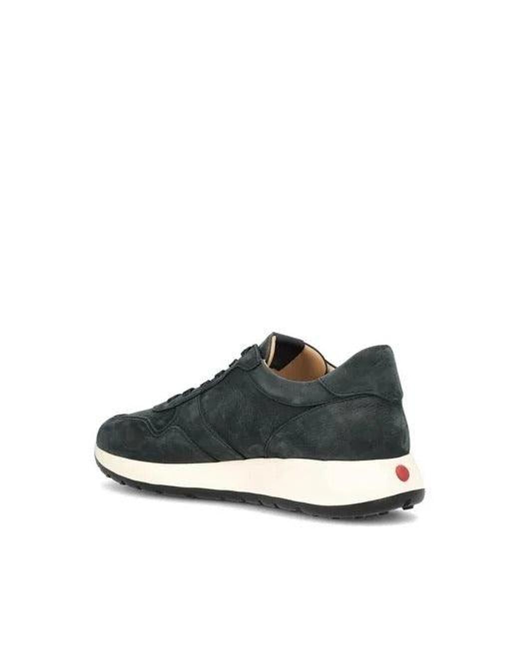 Tod's Green Dot" Suede Sneakers for men