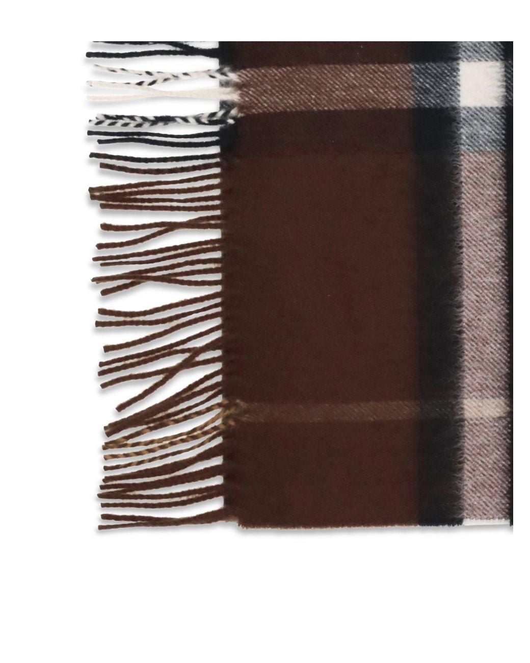 Burberry Brown Scarves