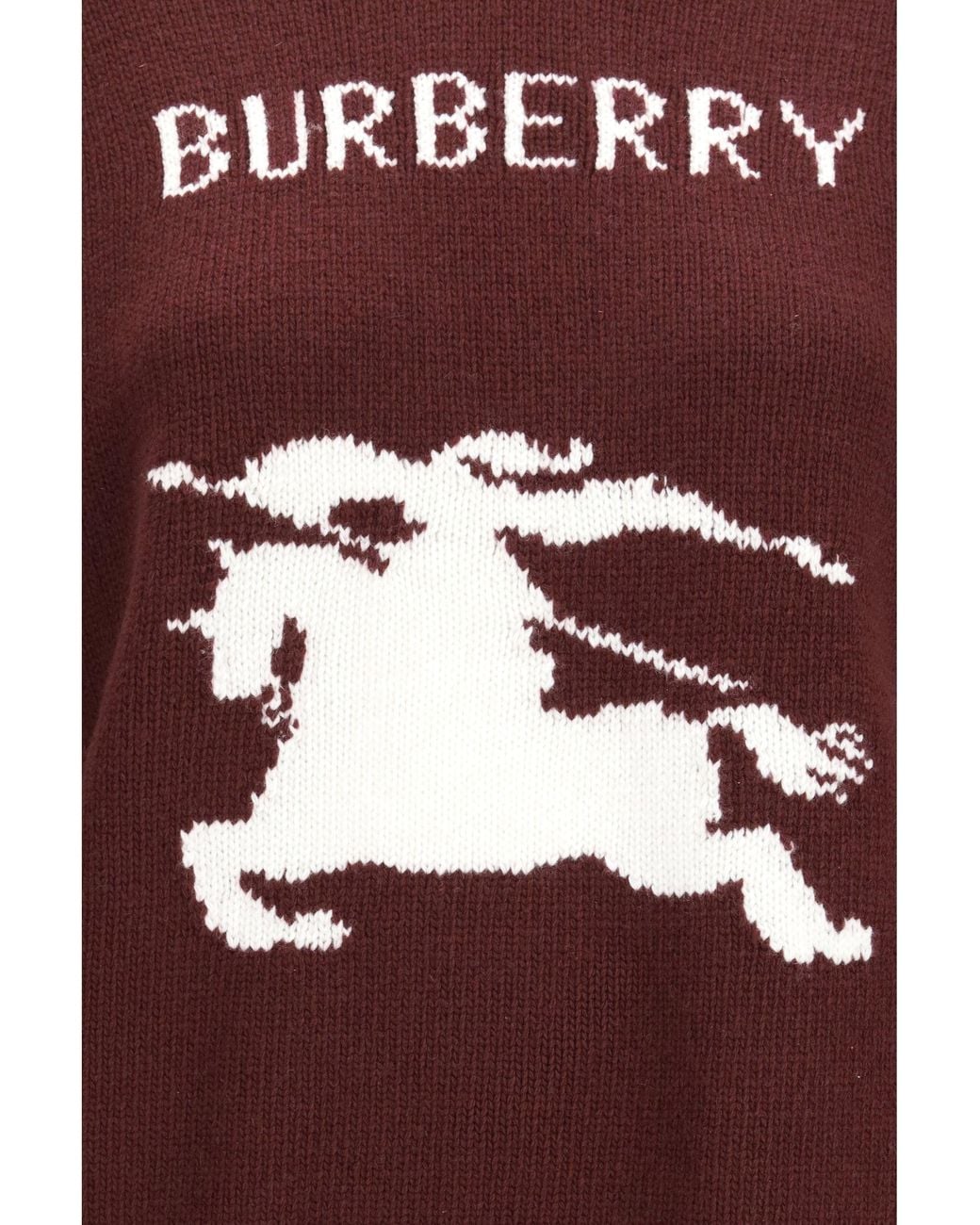 Burberry Brown Cashmere And Wool Sweater With Knight Motif