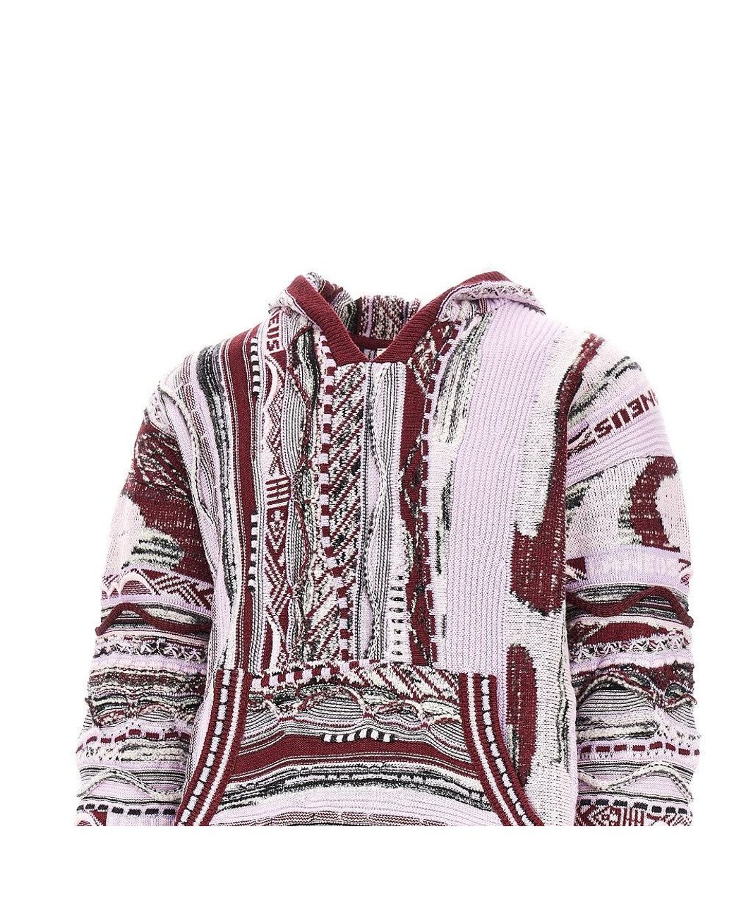 Laneus Purple Felpa for men