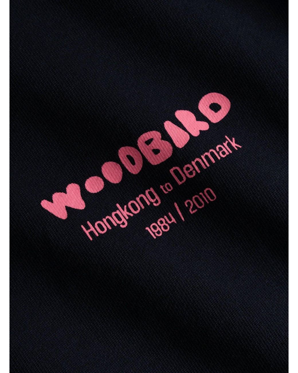 Woodbird Blue Wbcane Organic Cotton Sweater for men