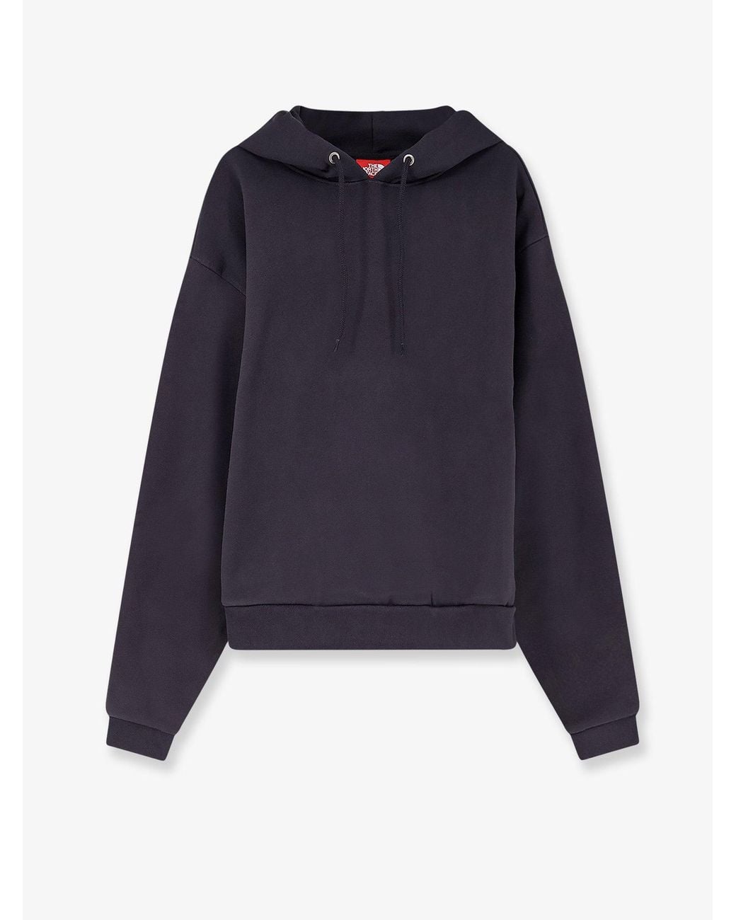 The North Face Blue Cotton Sweatshirt With Hood for men