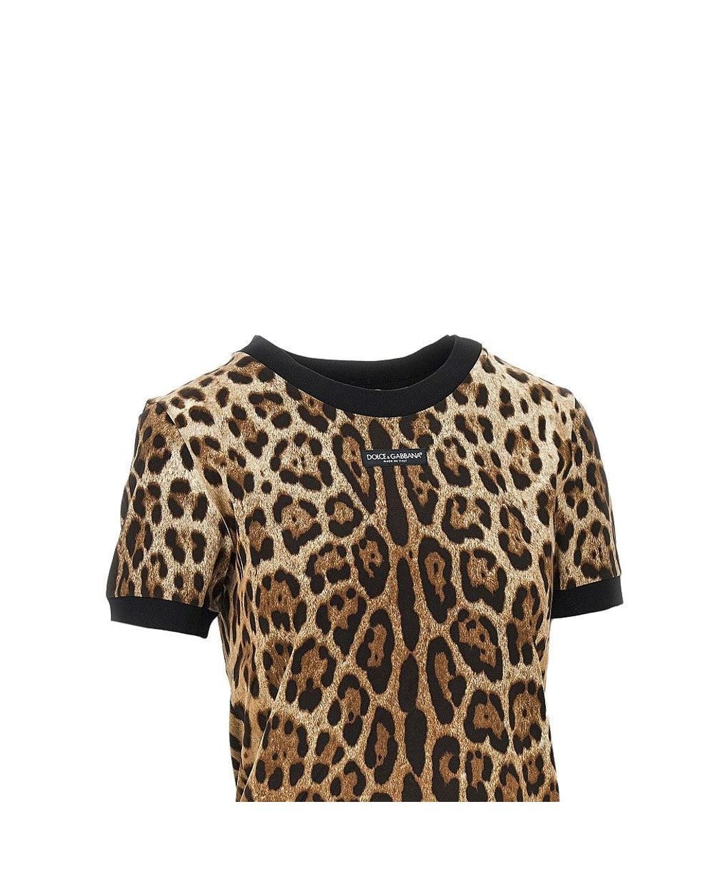 Dolce & Gabbana Brown Dolce&Gabbana Leopard-Print Jersey T-Shirt
