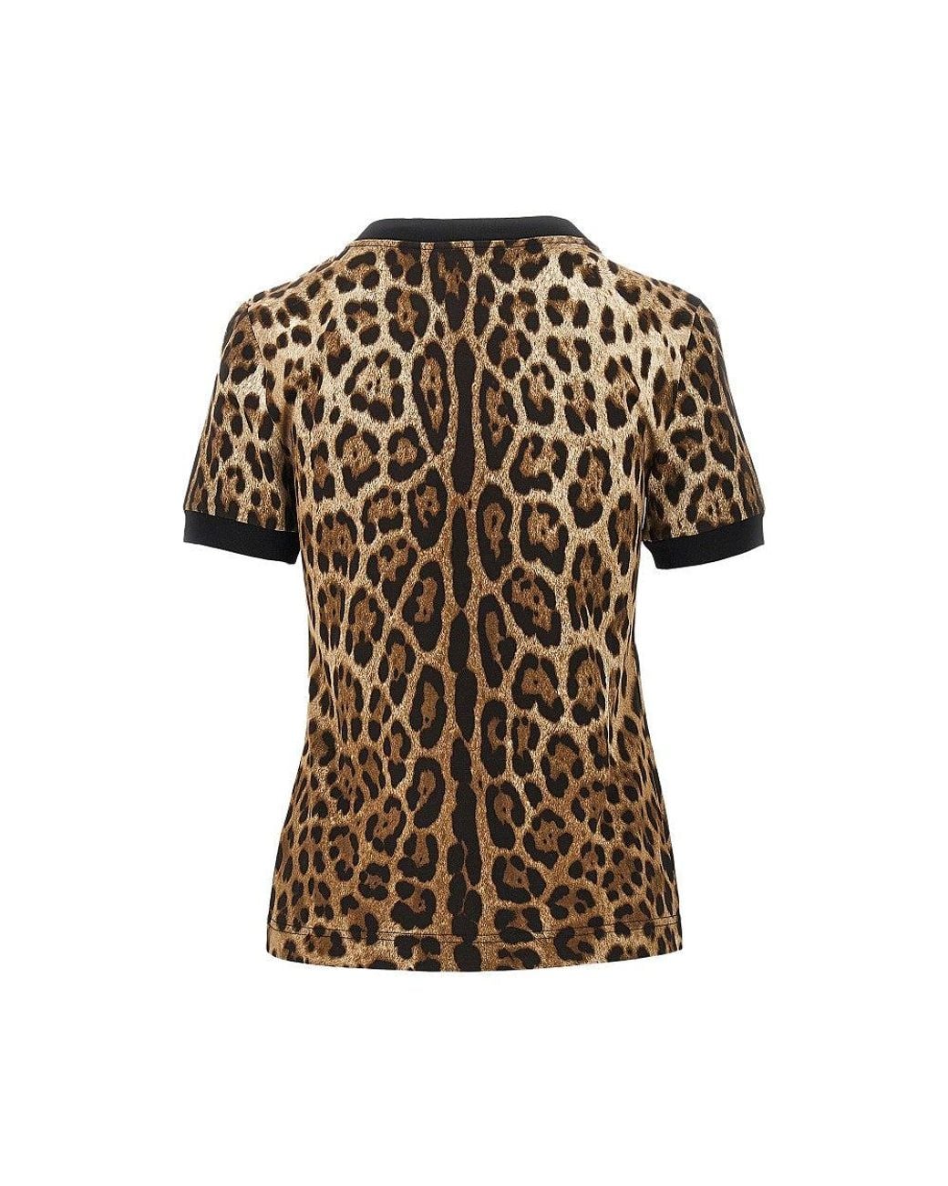 Dolce & Gabbana Brown Dolce&Gabbana Leopard-Print Jersey T-Shirt