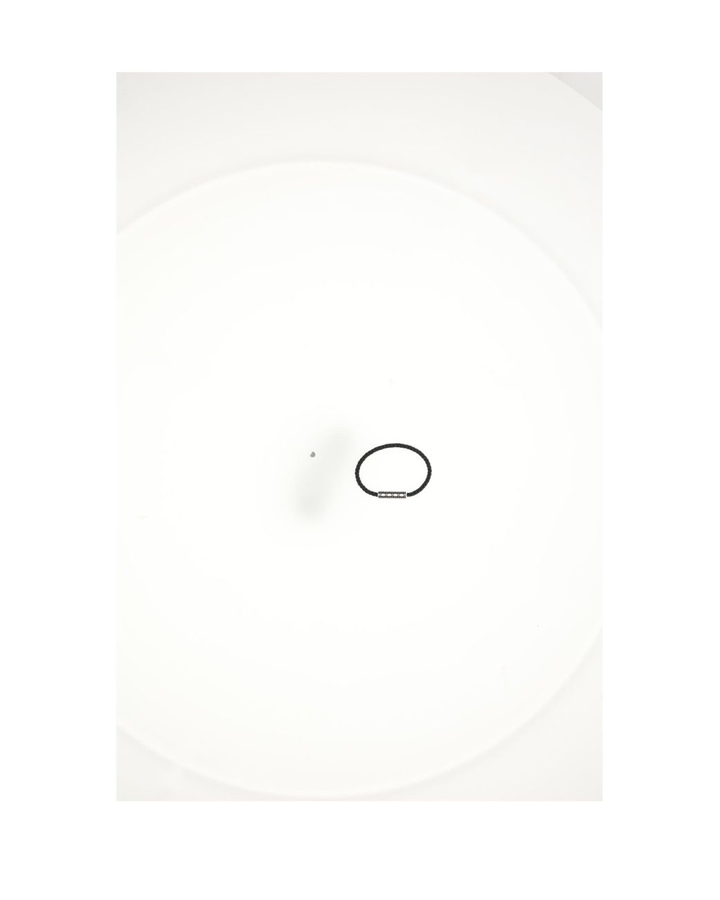 Dior White Bracelet Cannage Palladium Calf Leather (Bos Taurus) Bracelets for men