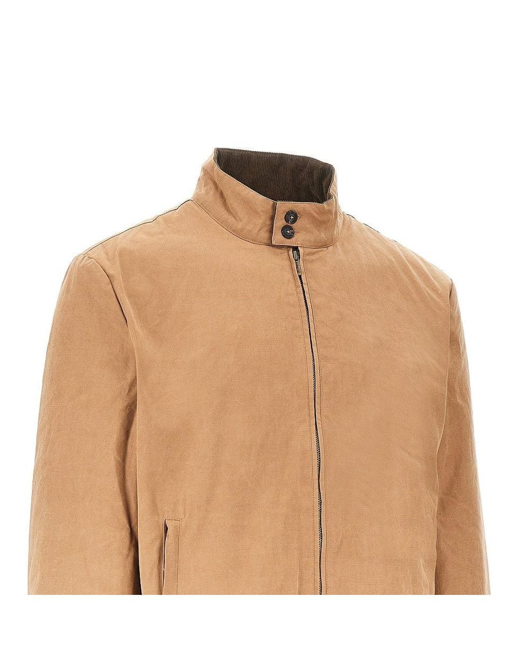 Mc2 Saint Barth Brown Cotton-Blend Padded Jacket for men
