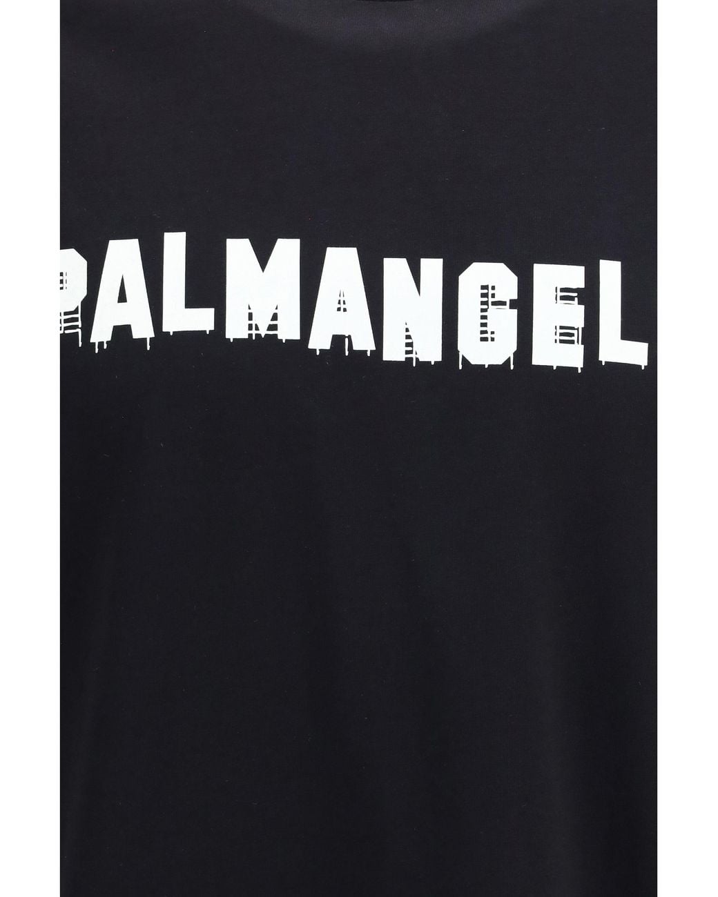 Palm Angels Black Palm Hills T-Shirt/Off for men