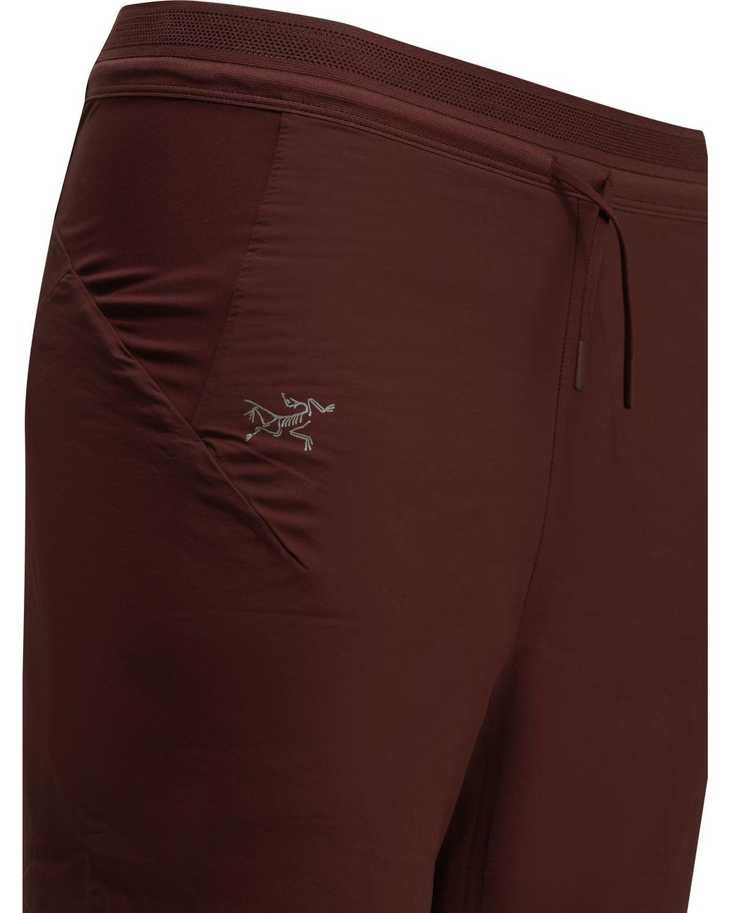 Arc'teryx Purple "Norvan Insulated" Athletic Pants