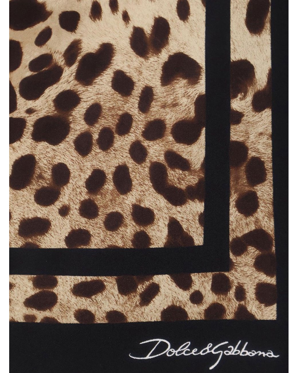 Dolce & Gabbana Brown Dolce & Gabbana Silk Foulard