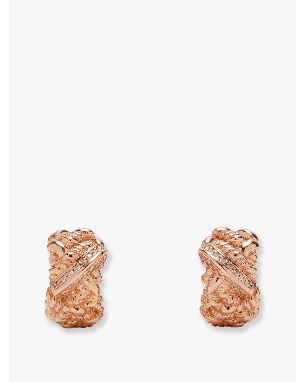 Bottega Veneta White Brass Earrings With Finishes