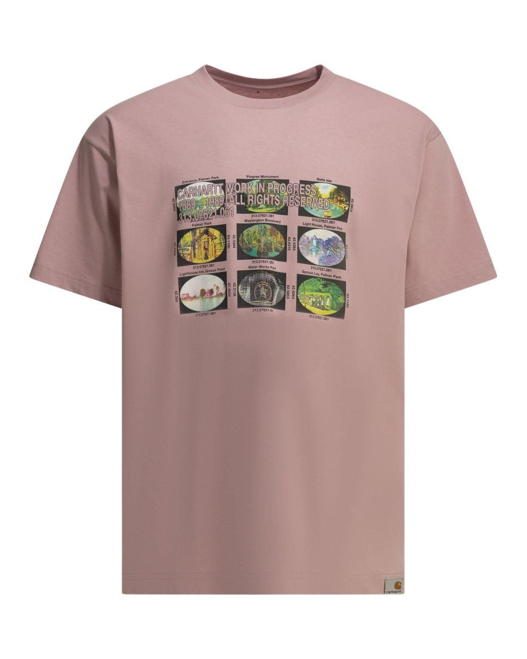 Carhartt Pink "Coordinates" Crew-Neck T-Shirt for men