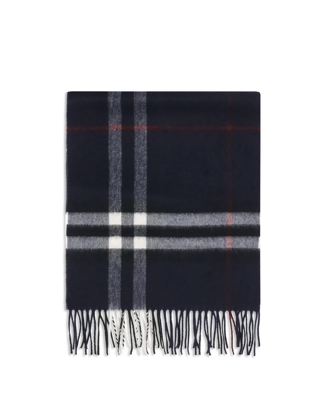 Burberry Blue Scarves