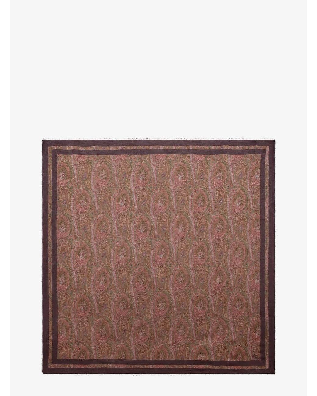 Etro Brown Modal And Cashmere Shawl