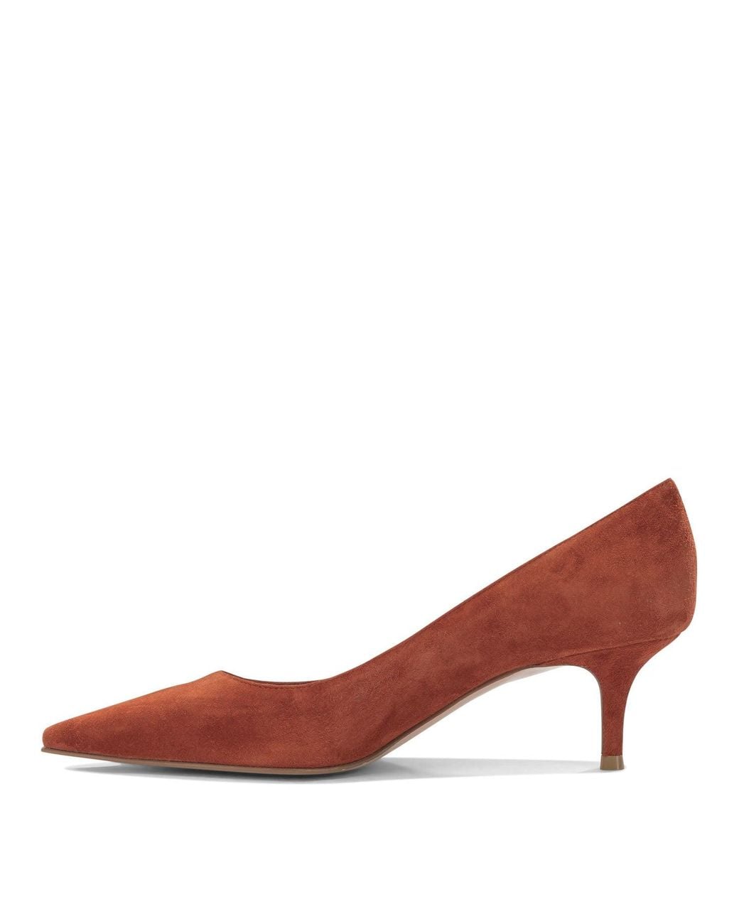Gianvito Rossi Brown "Gianvito 55Mm" Pumps