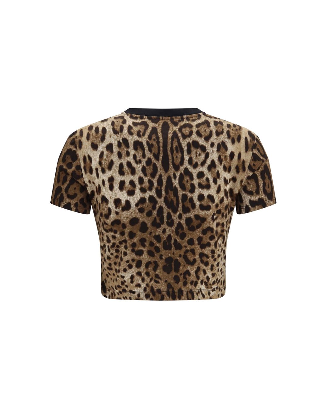 Dolce & Gabbana Multicolor Dolce & Gabbana Leopard-Print Cropped T-Shirt