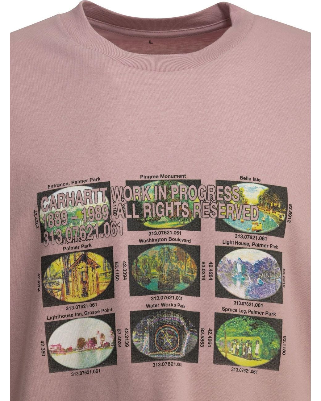 Carhartt Pink "Coordinates" Crew-Neck T-Shirt for men