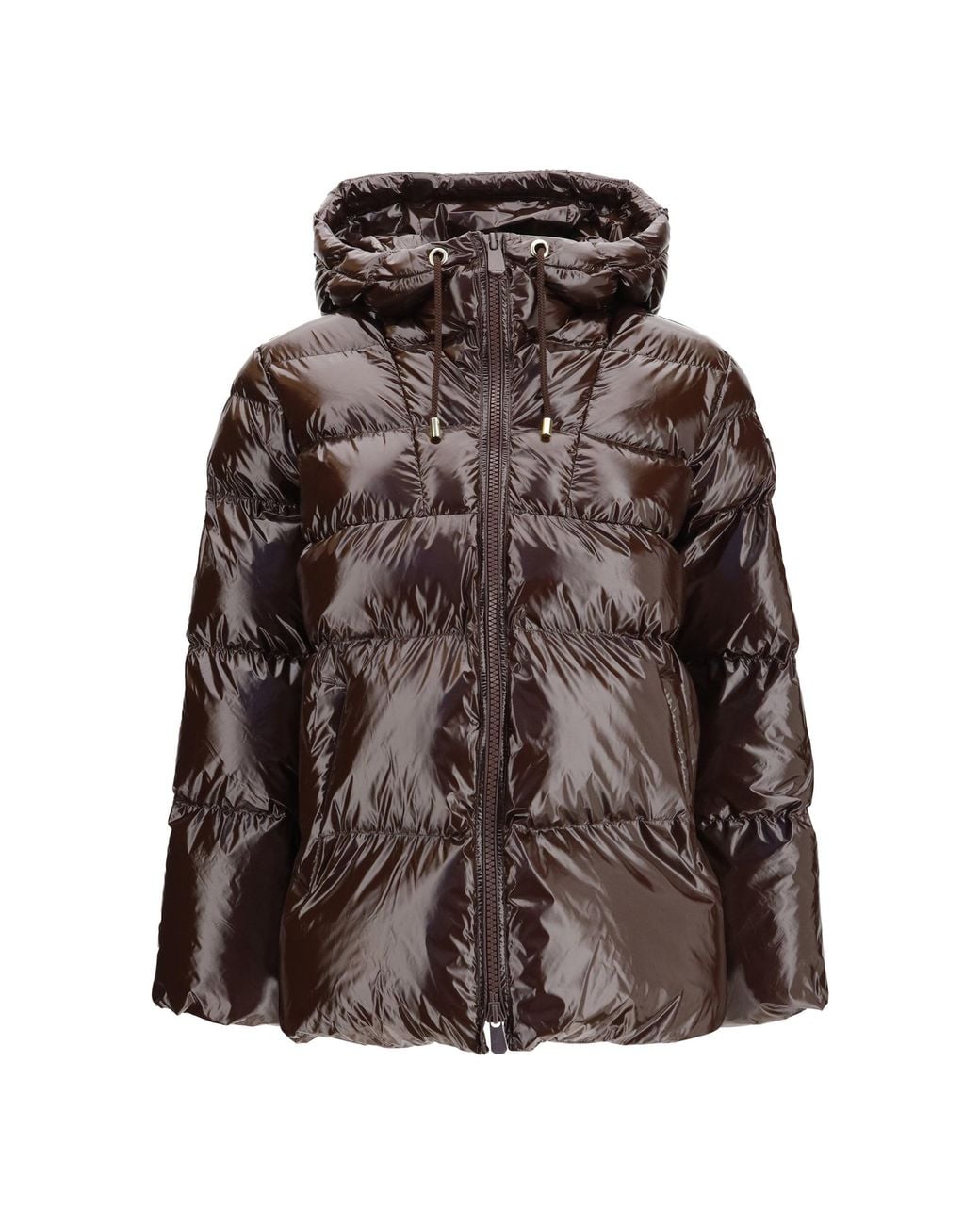 Pinko Brown Eleodoro Hooded Down Jacket Dark