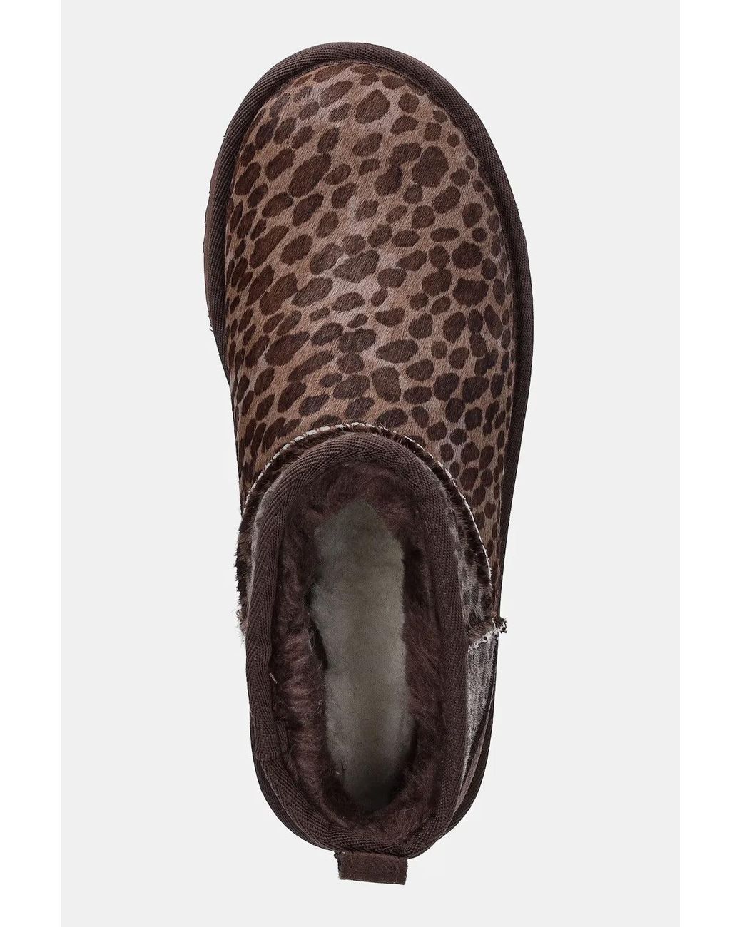 Ugg Brown "Ultra Classic Mini Caspian" Ankle Boots