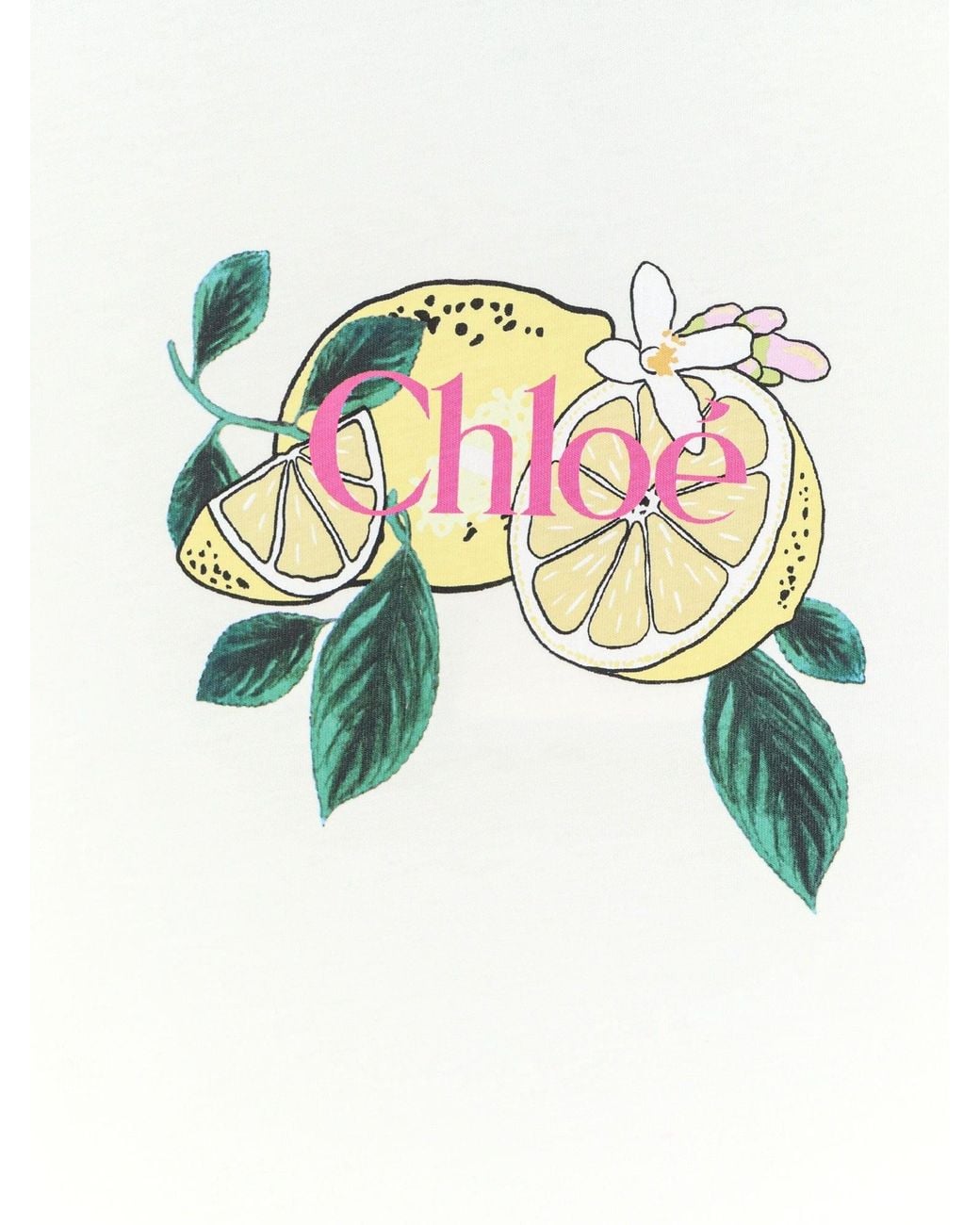 Chloé White Cotton T-Shirt