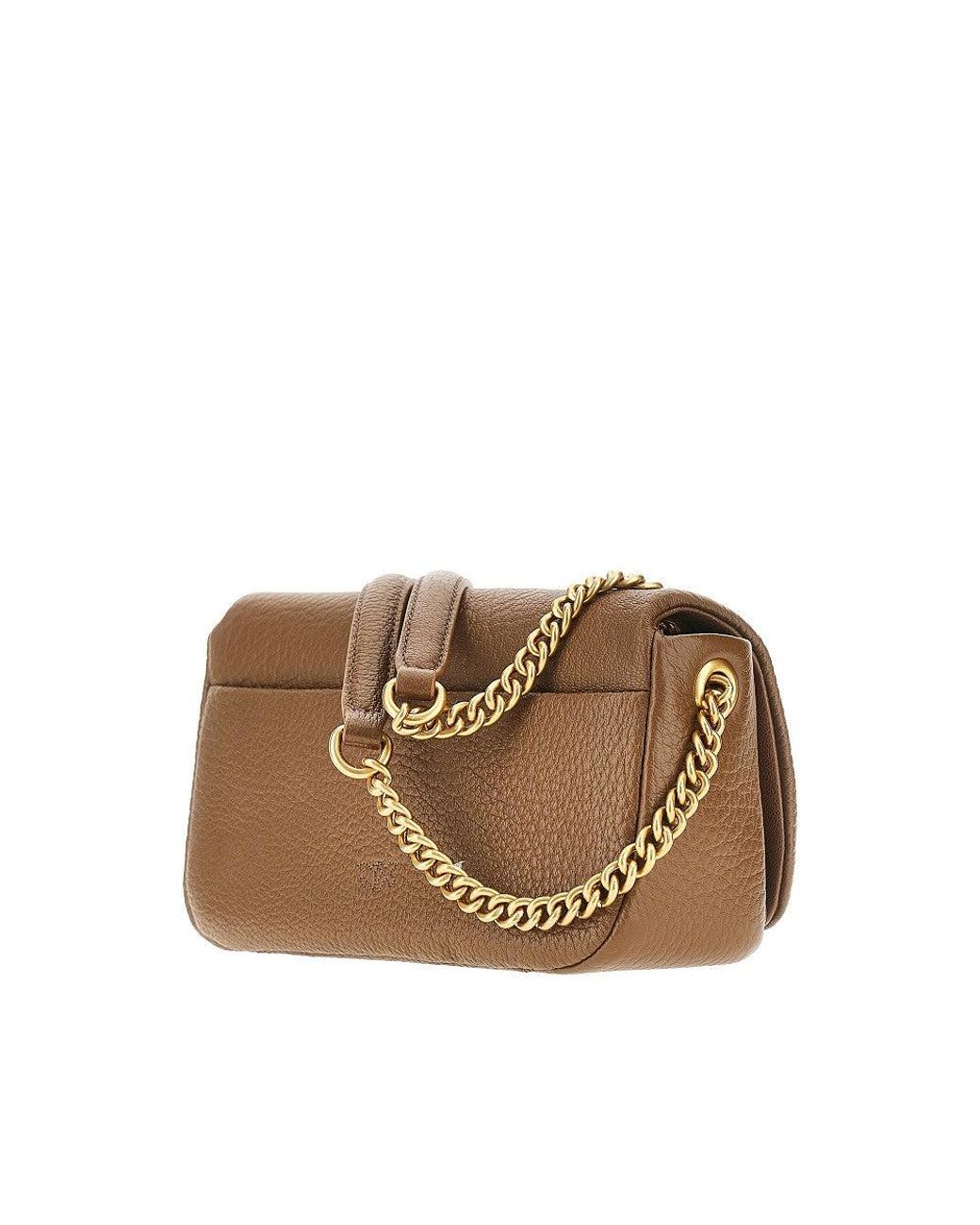 Pinko Brown Leather Large Click Soft Horizontal Bag