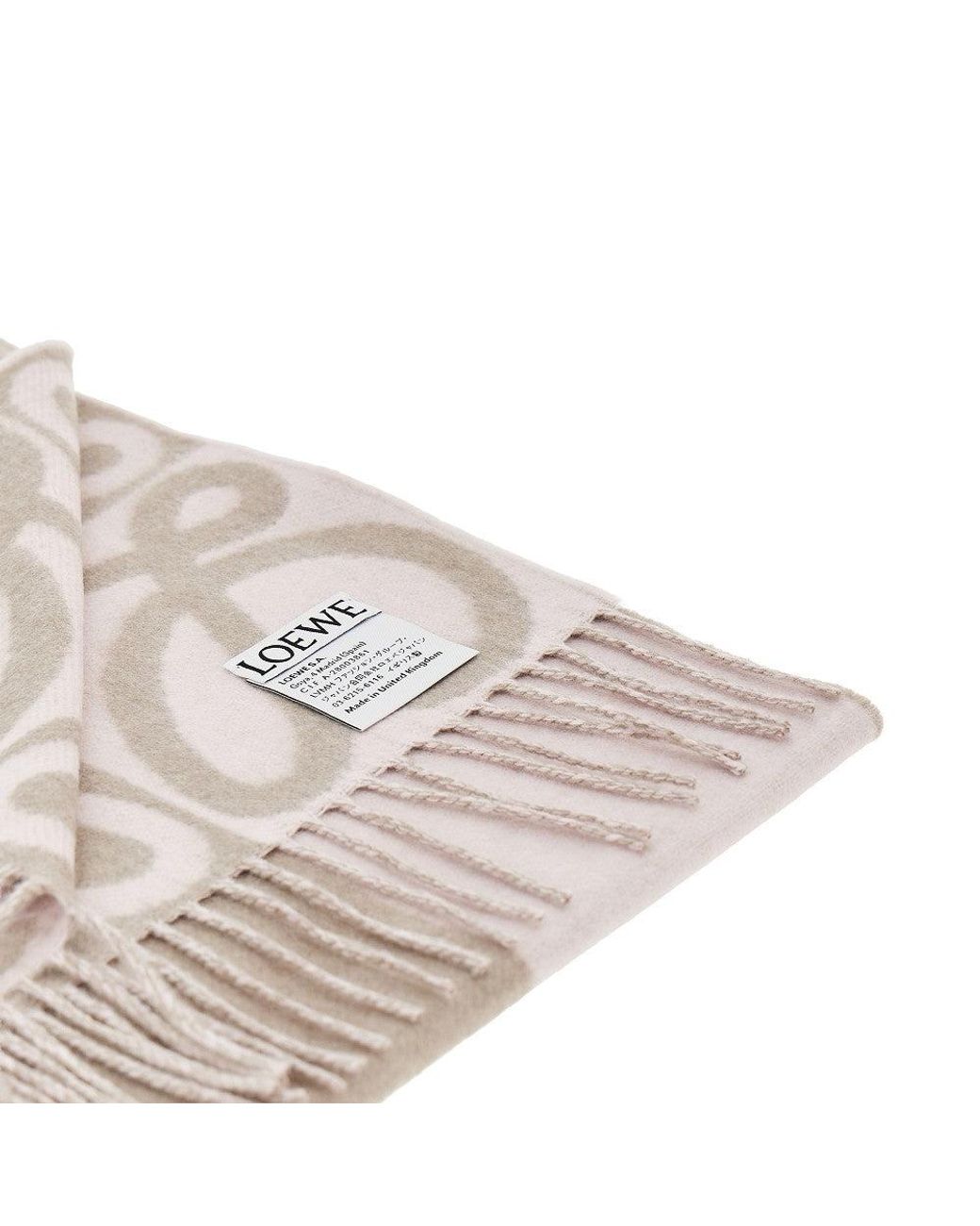 Loewe Natural Wool And Cashmere Scarf