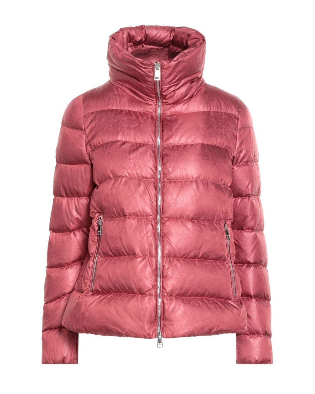 Jan Mayen Red Puffer