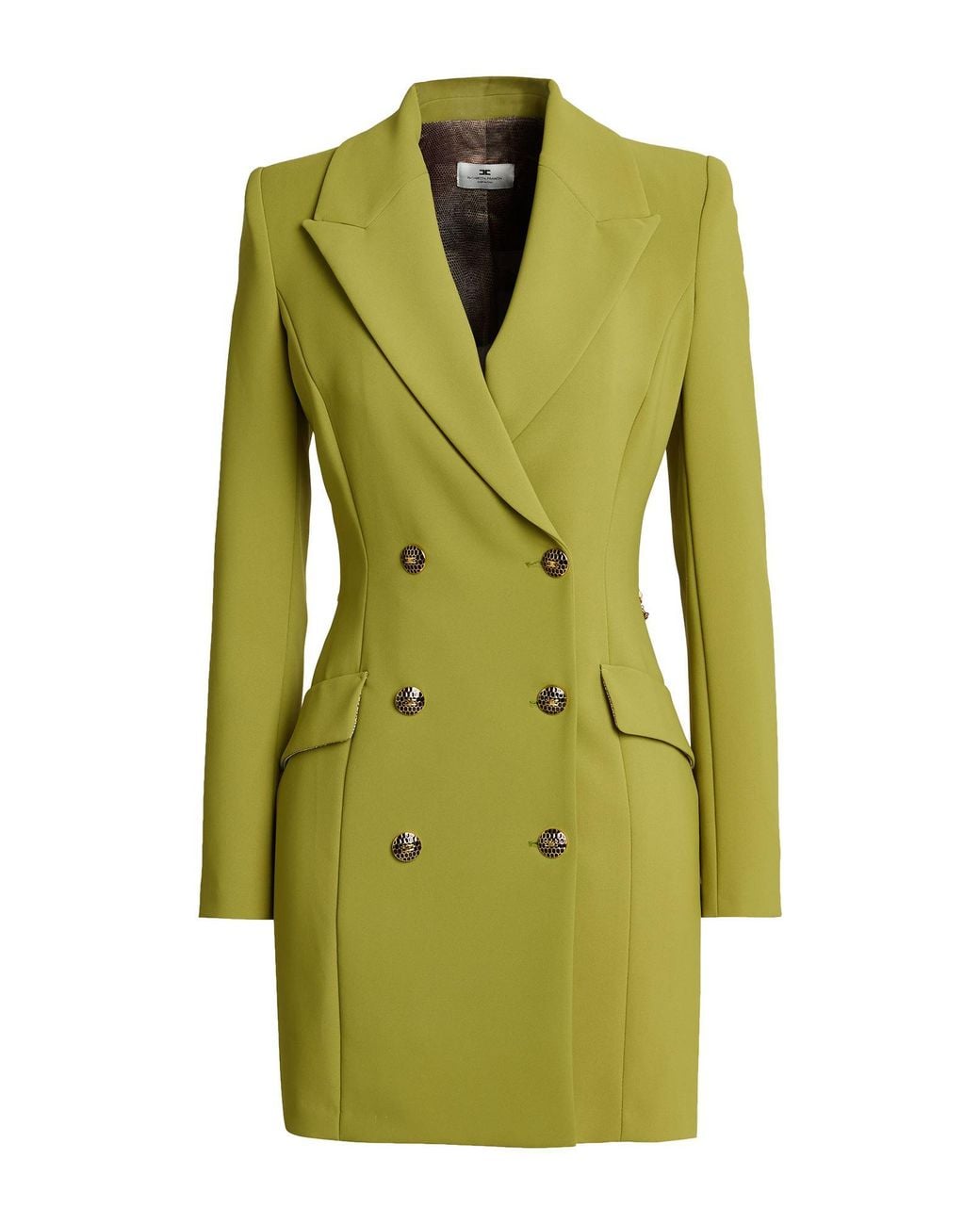 Elisabetta Franchi Green Mini Dresses