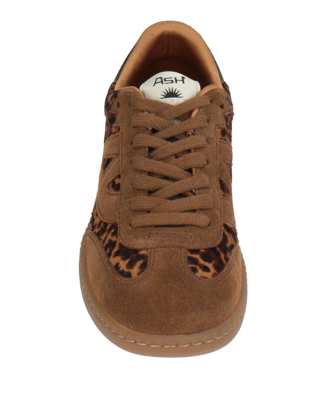 Ash Brown Sunset Sneakers Leather