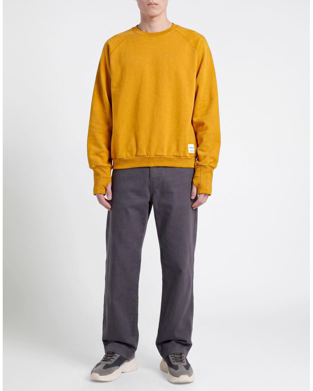 Spiewak Yellow Marigold Sweatshirt Cotton for men