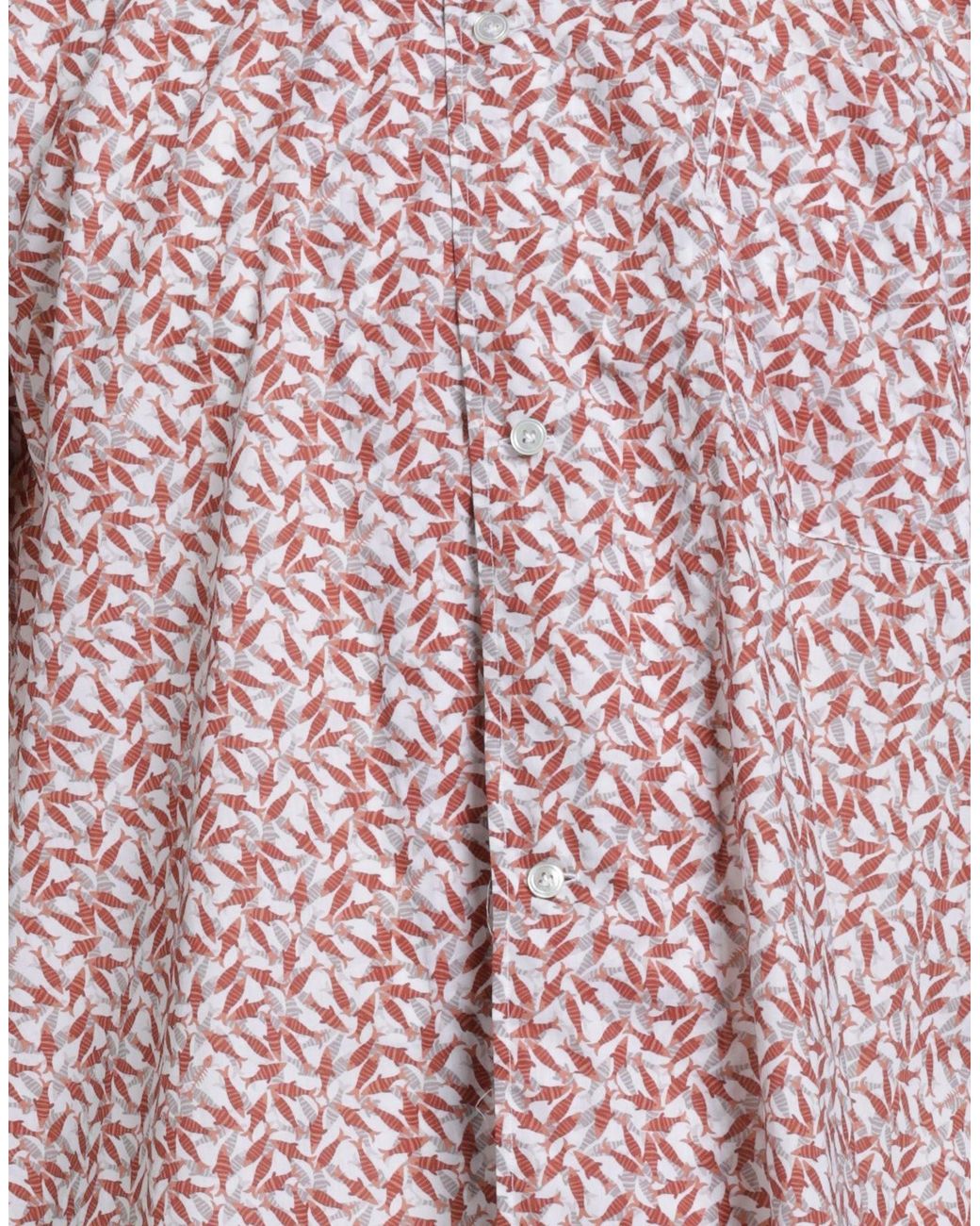 De Petrillo Pink Shirts for men