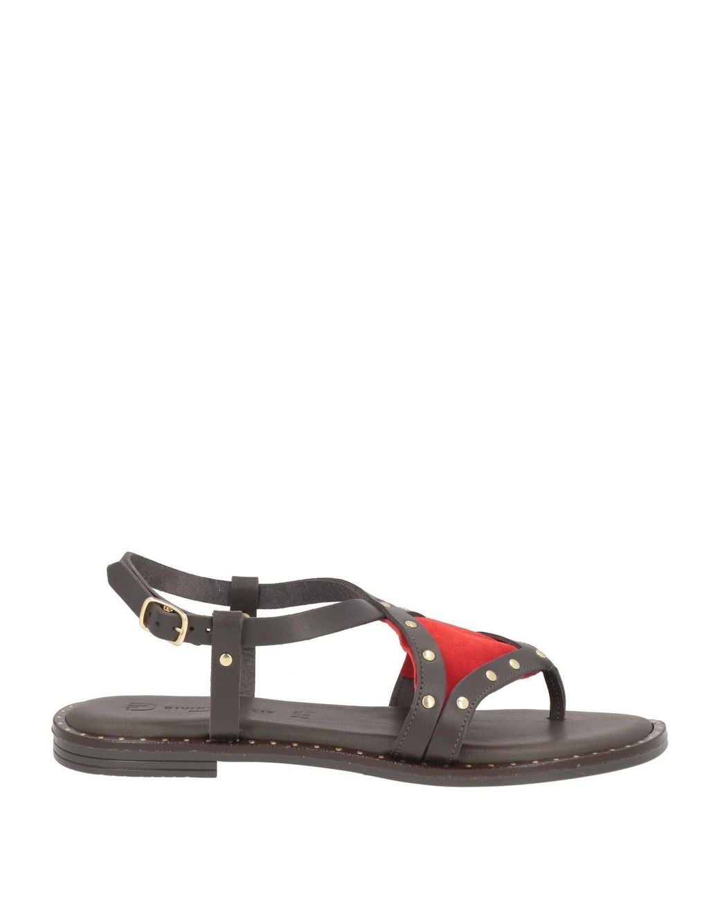 Divine Follie Brown Thong Sandal