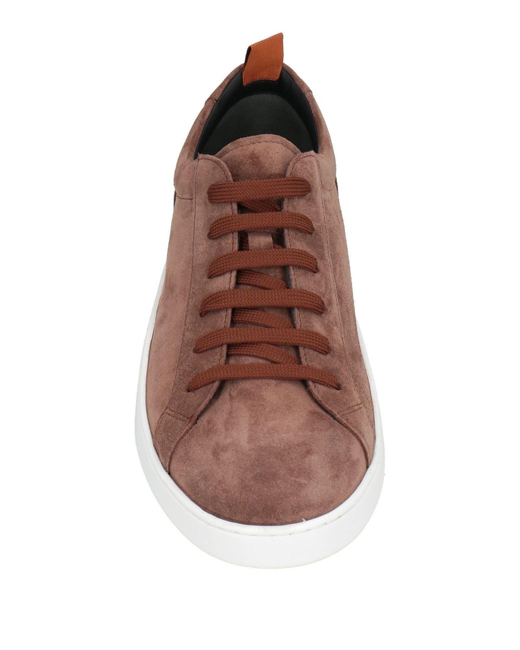 Tod's Brown Sneakers for men