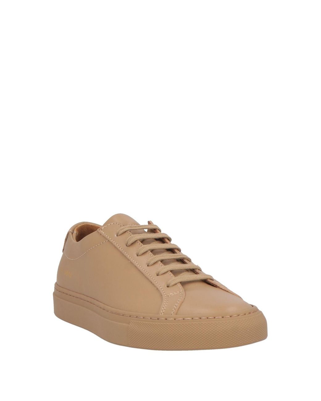 Common Projects Brown Sneakers