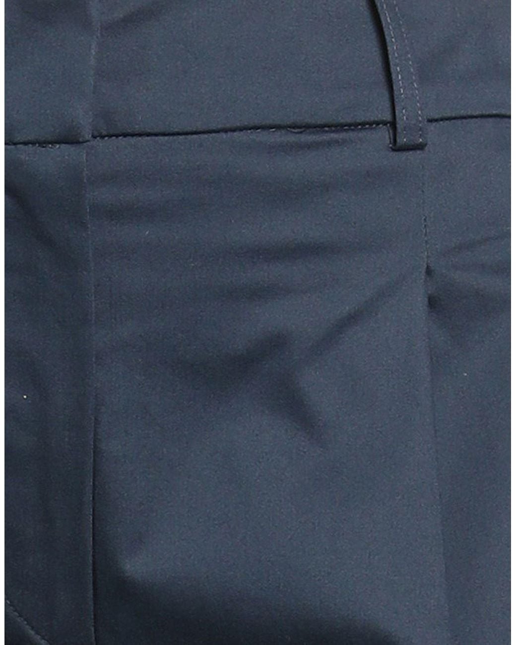 D.exterior Blue Trouser