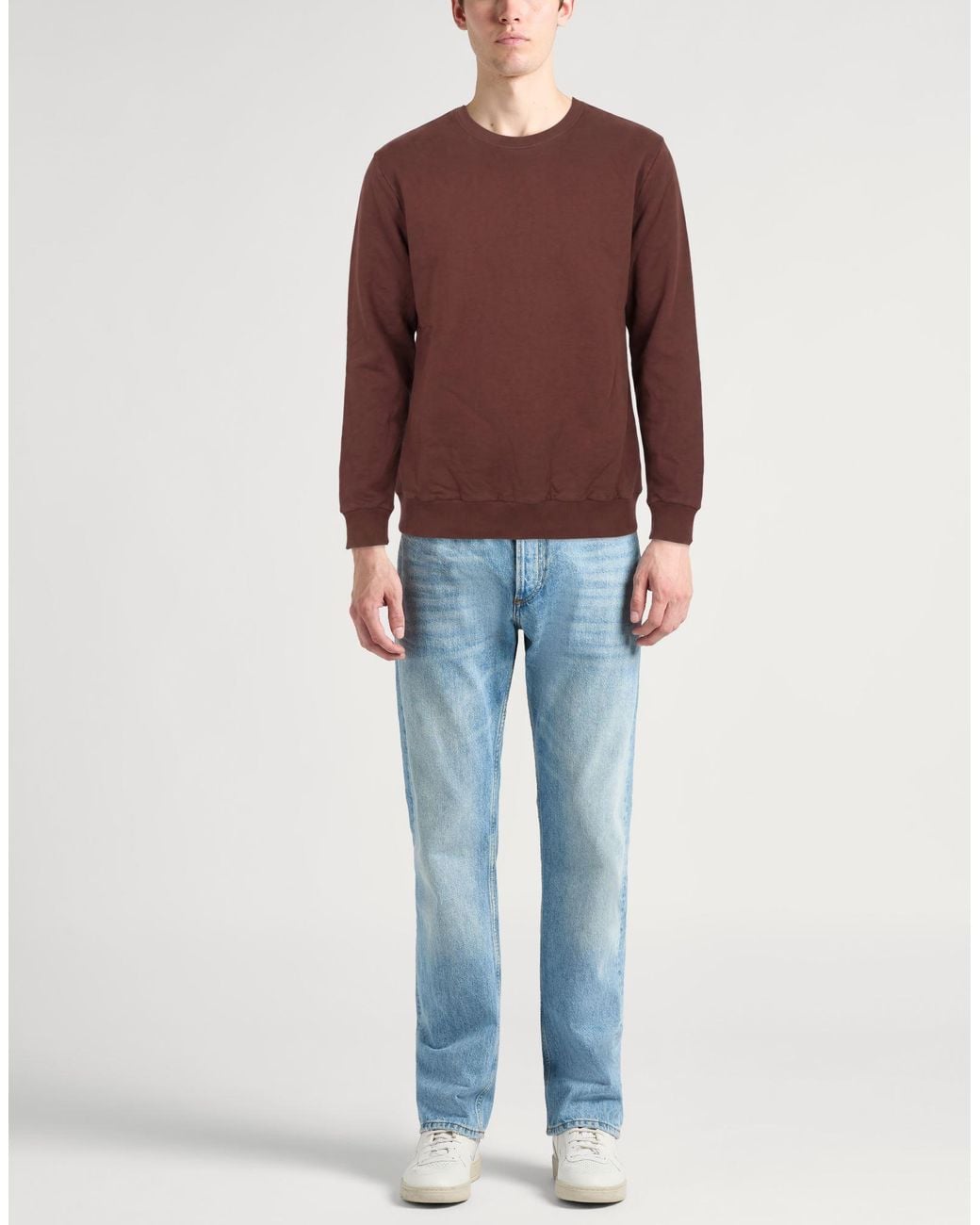 Crossley Brown Sweatshirt Cotton for men