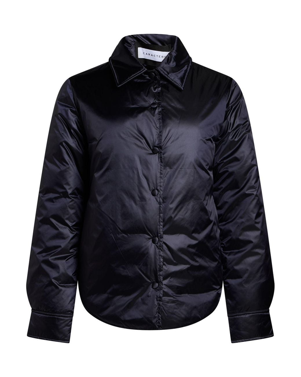 Caractere Blue Puffer
