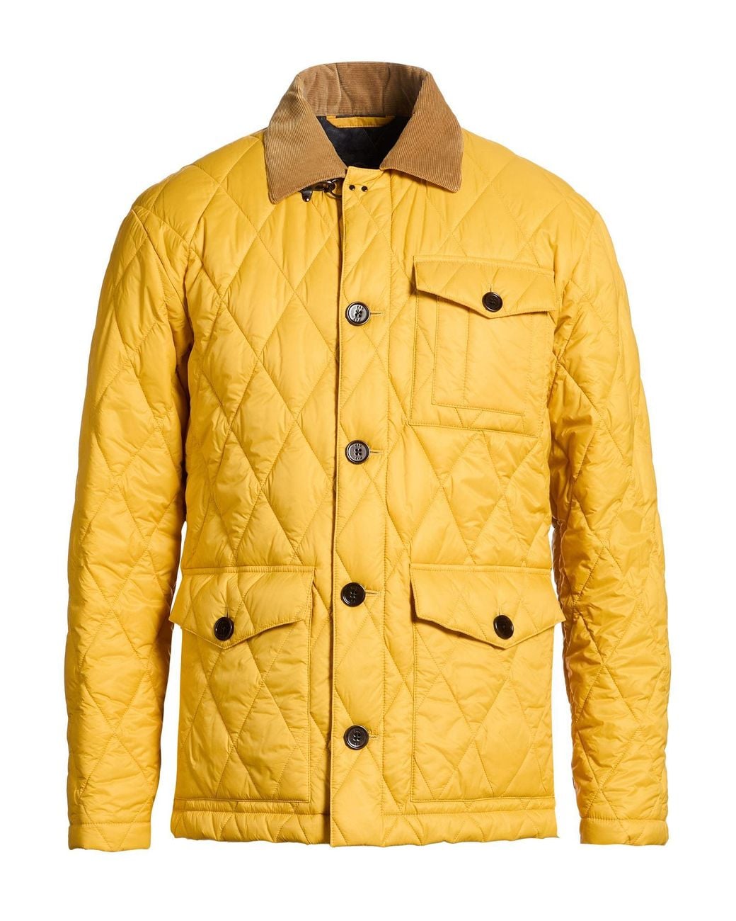 Fay Yellow Puffer for men