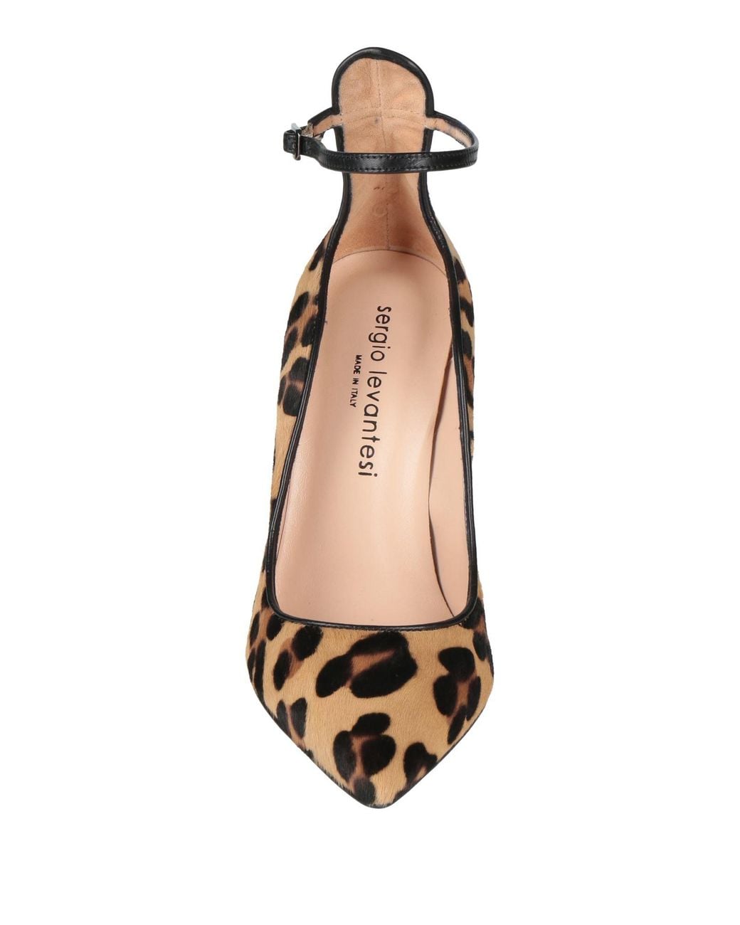Sergio Levantesi Metallic Pumps