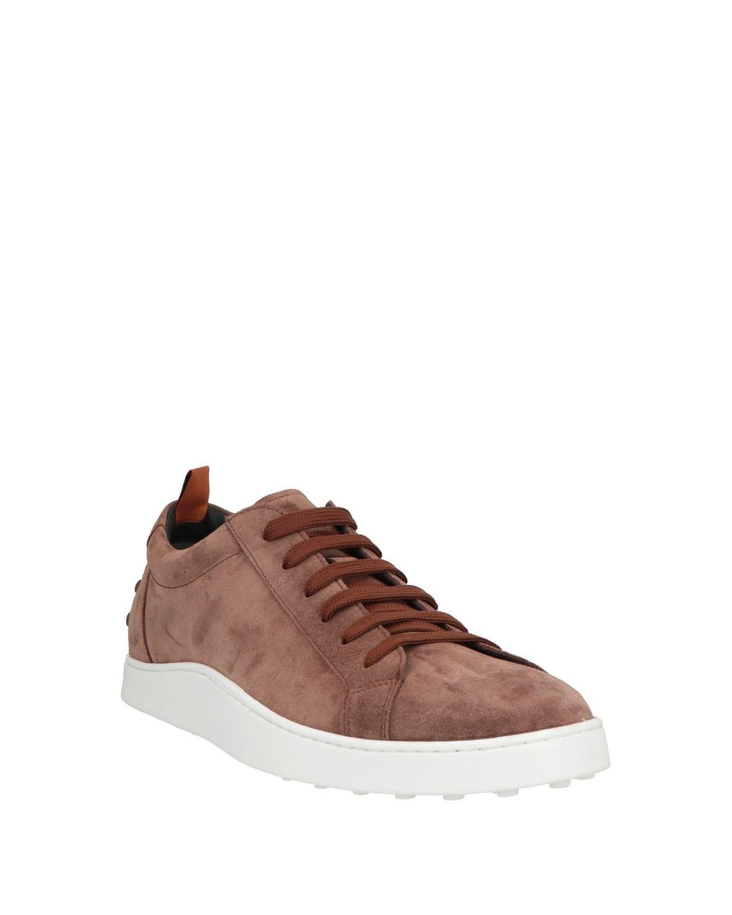Tod's Brown Sneakers for men